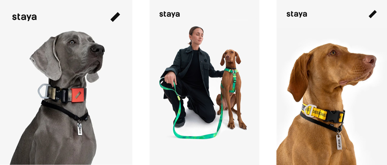 staya blue harness product poster